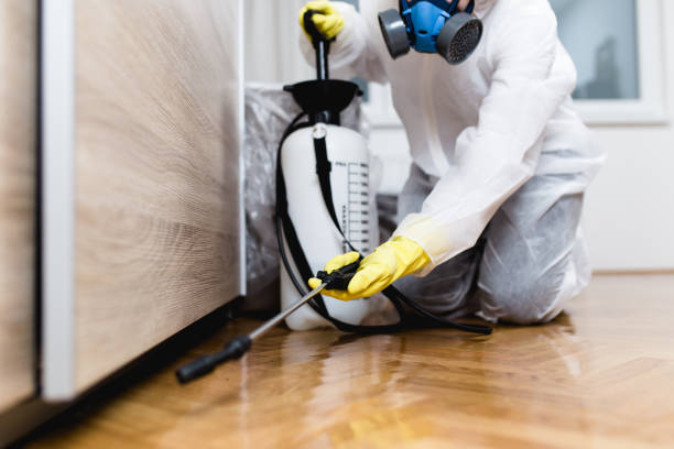 Best Fumigation Services  in Woodworth, OH